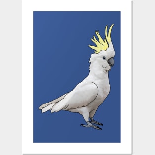 Sulphur-crested Cockatoo Posters and Art